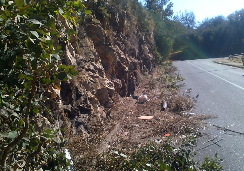 Stewart Drive during 2018 cleanup Richard Holden 3.png The